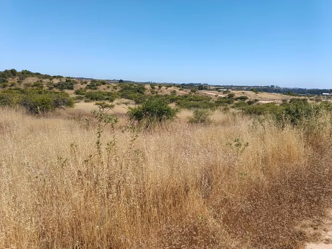 GRAN OPORTUNIDAD VENTA PARCELA 5000MTS EN LITUECHE