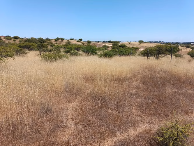 GRAN OPORTUNIDAD VENTA PARCELA 5000MTS EN LITUECHE