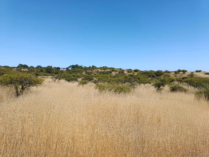GRAN OPORTUNIDAD VENTA PARCELA 5000MTS EN LITUECHE