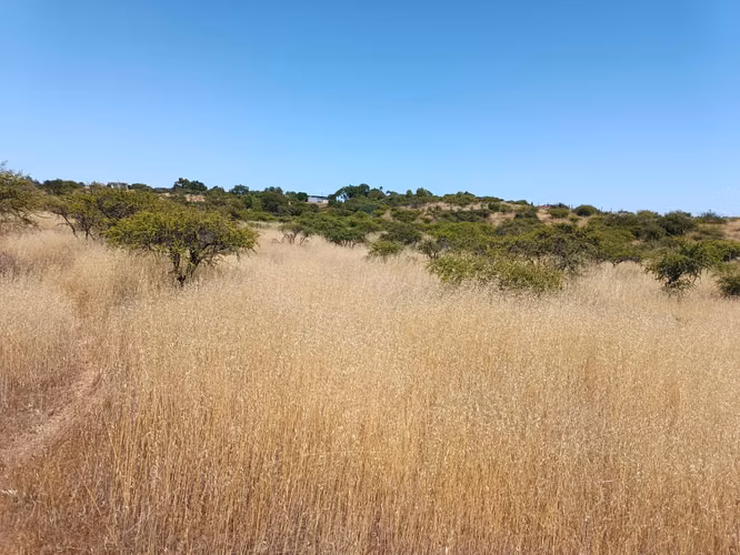 GRAN OPORTUNIDAD VENTA PARCELA 5000MTS EN LITUECHE