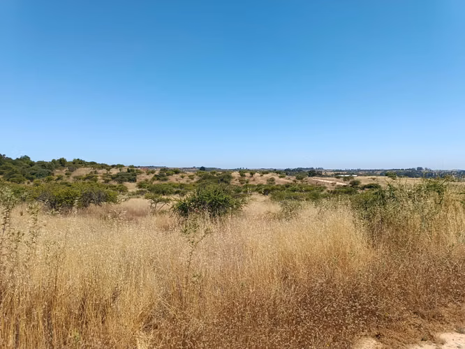 GRAN OPORTUNIDAD VENTA PARCELA 5000MTS EN LITUECHE