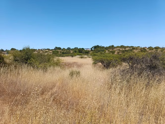 GRAN OPORTUNIDAD VENTA PARCELA 5000MTS EN LITUECHE
