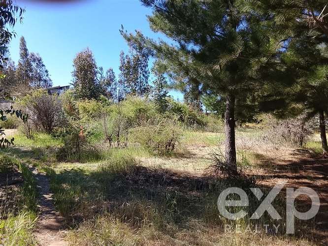 Parcela de 5.000 m2 con 4 cabañas y pozo en recinto privado