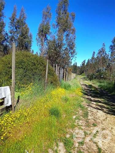 Parcela de 5.000 m2 con 4 cabañas y pozo en recinto privado