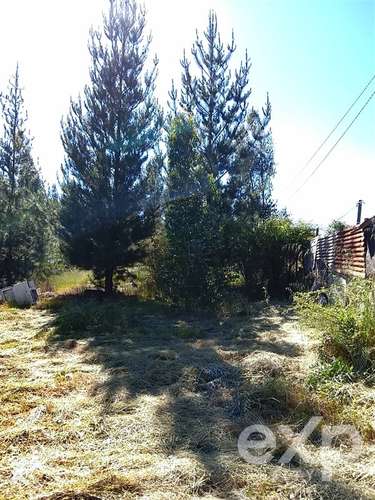 Parcela de 5.000 m2 con 4 cabañas y pozo en recinto privado
