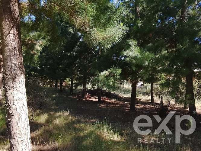 Parcela de 5.000 m con 4 cabañas y pozo en recinto privado