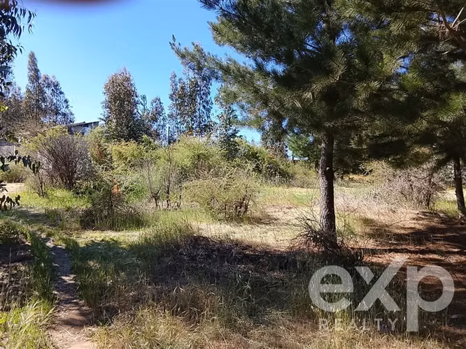 Parcela de 5.000 m con 4 cabañas y pozo en recinto privado - Imagen 10