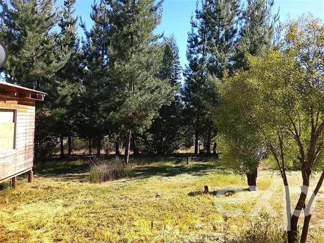 Parcela de 5.000 m2 con 4 cabañas y pozo en recinto privado