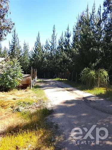 Parcela de 5.000 m2 con 4 cabañas y pozo en recinto privado