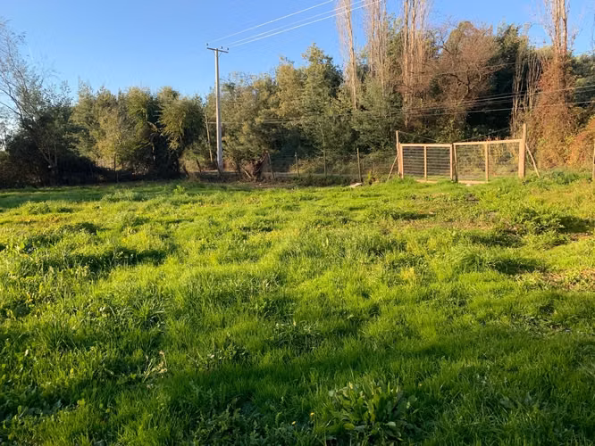 Hermosa Parcela a 15 km de Linares