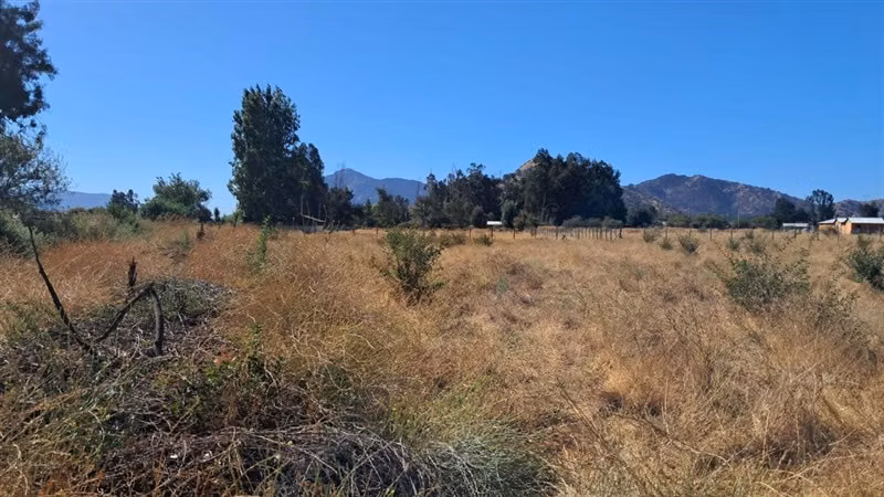 Parcela en venta en Mostazal - Imagen 9