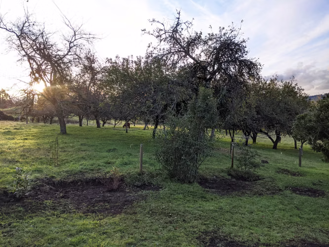 AMR PROPIEDADES VENDE PARCELA EN LAGO RUPANCO, CERCANA A CAMINO Y LAGO