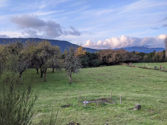 AMR PROPIEDADES VENDE PARCELA EN LAGO RUPANCO, CERCANA A CAMINO Y LAGO
