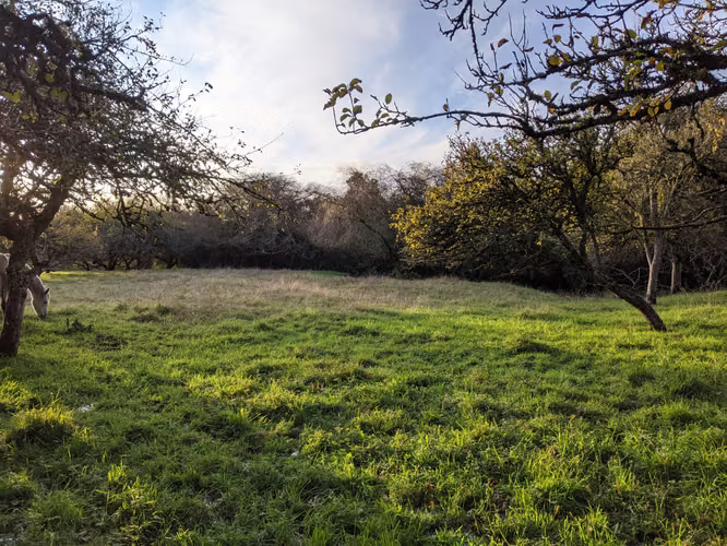 AMR PROPIEDADES VENDE PARCELA EN LAGO RUPANCO, CERCANA A CAMINO Y LAGO