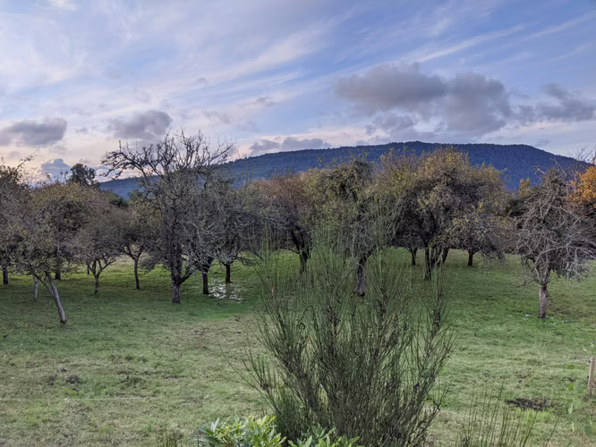 AMR PROPIEDADES VENDE PARCELA EN LAGO RUPANCO, CERCANA A CAMINO Y LAGO