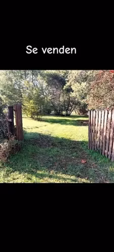 Venta de dos Parcelas de Media Hectárea, sector Las Motas
