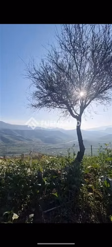 Terreno en venta en San Felipe - Imagen 9