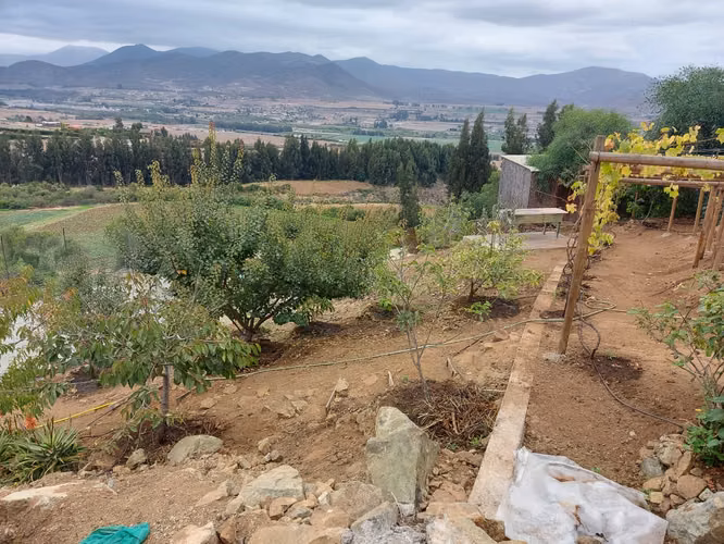 Parcela 11 en Arriendo, Cerro San Luis, Fundo Loreto