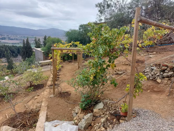 Parcela 11 en Arriendo, Cerro San Luis, Fundo Loreto