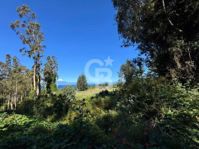 Parcelas Exclusivas con 550 mts de Playa en Frutillar