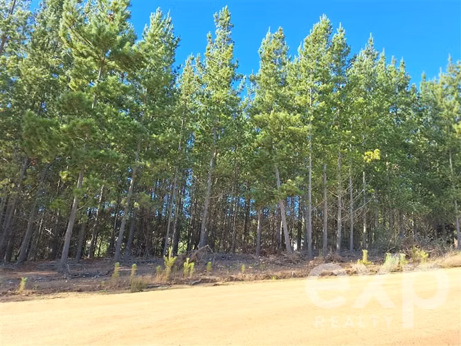Vende parcela 5000m2 en Pichilemu
