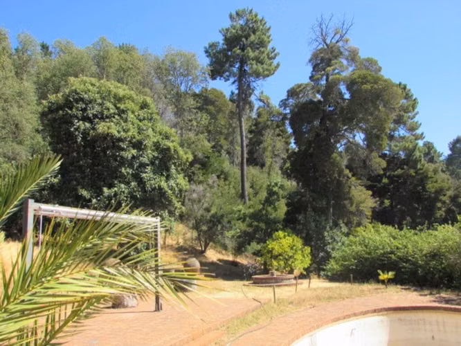 CAMPO VIÑA Y FRUTALES // CAUQUENES (162793) - Imagen 25