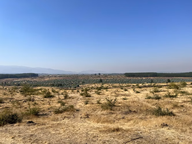 SE VENDE CAMPO -SECTOR REQUENGUA HUERTA MAULE