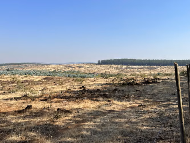 SE VENDE CAMPO -SECTOR REQUENGUA HUERTA MAULE