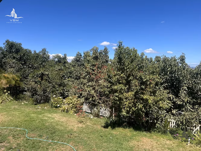 Gran Oportunidad Se Vende parcela con Casa, Piscina y  produccion de paltos y otros