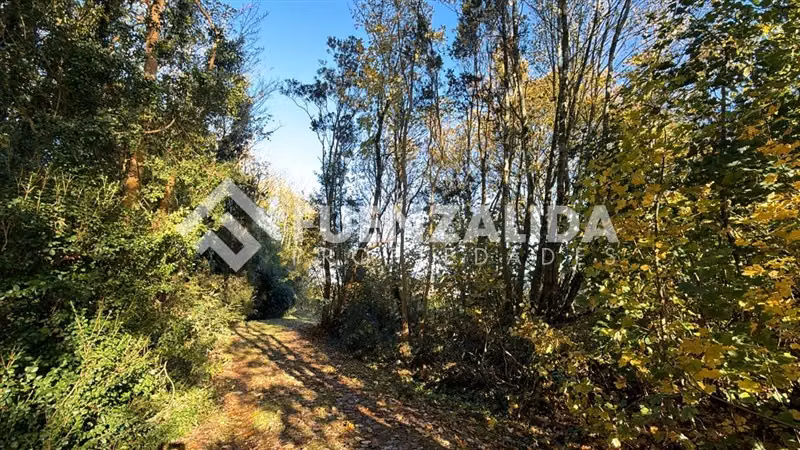 Venta Parcela Km5 Laja Condominio Lomas del Sur Puerto Varas - Imagen 6
