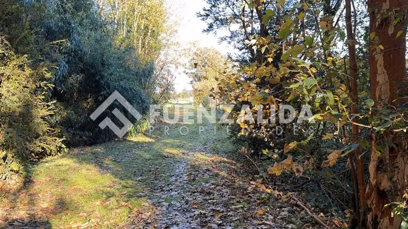 Venta Parcela Km5 Laja Condominio Lomas del Sur Puerto Varas - Imagen 4