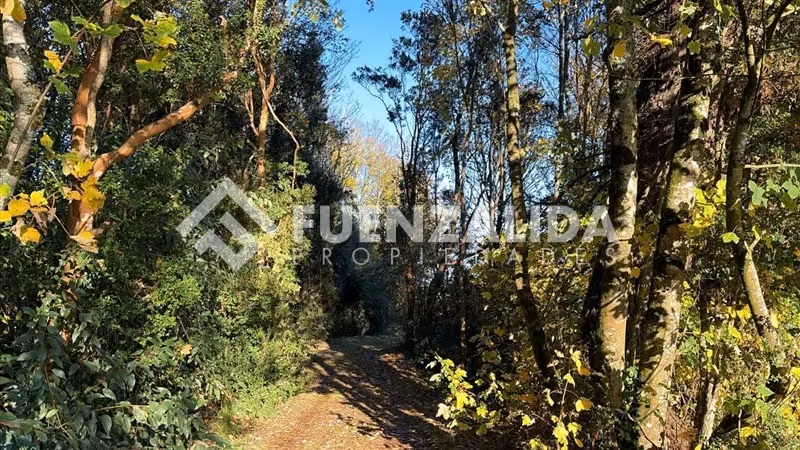 Venta Parcela Km5 Laja Condominio Lomas del Sur Puerto Varas - Imagen 5