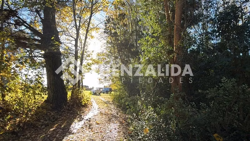 Venta Parcela Km5 Laja Condominio Lomas del Sur Puerto Varas - Imagen 7