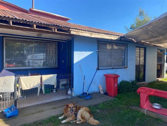 Sitio en venta en Linares - Imagen 9