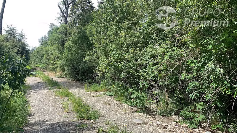 A minutos de las termas de Puyehue. - Imagen 3