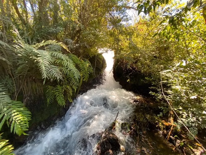 Parcela en venta en Pucón, orilla río Trancura