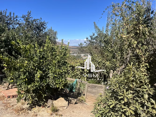 Oportunidad se Vende parcela, con gran quincho, piscina y paltos en produccion