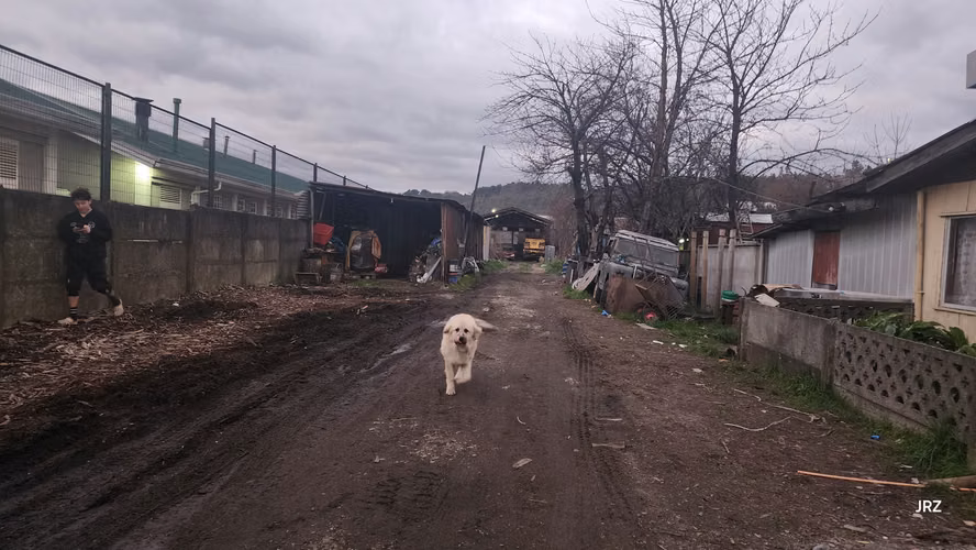 TERRENO EXCELENTE UBICACION Y ACCESOS INCLUYE 2 CASAS