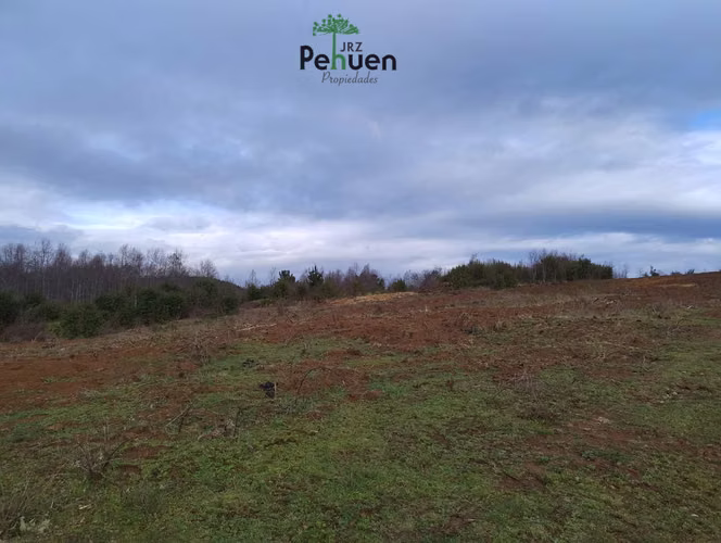 Terreno 4 Héctareas sector Pumaihue La Unión