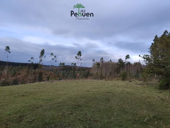 Terreno 4 Héctareas sector Pumaihue La Unión