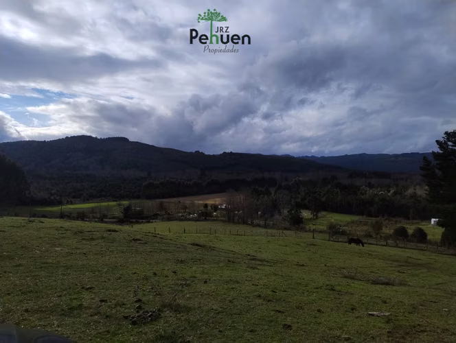 Terreno 4 Héctareas sector Pumaihue La Unión