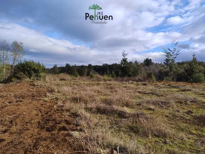 Terreno 4 Héctareas sector Pumaihue La Unión