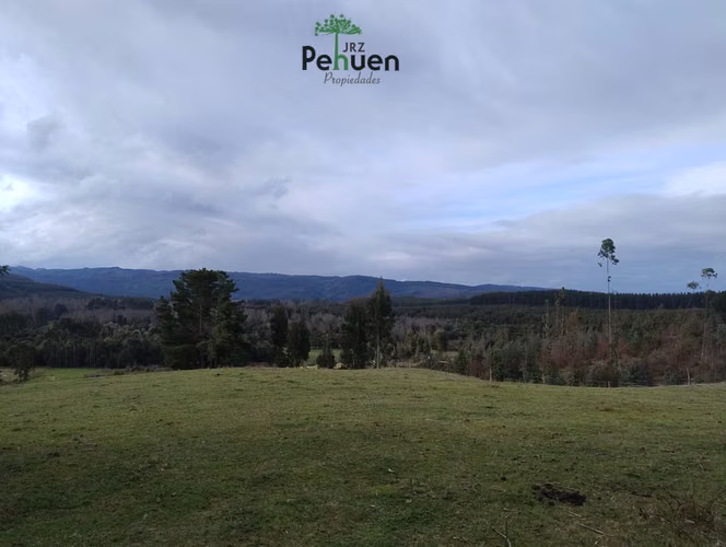 Terreno 4 Héctareas sector Pumaihue La Unión