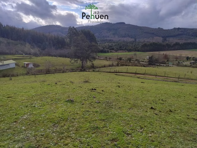 Terreno 4 Héctareas sector Pumaihue La Unión