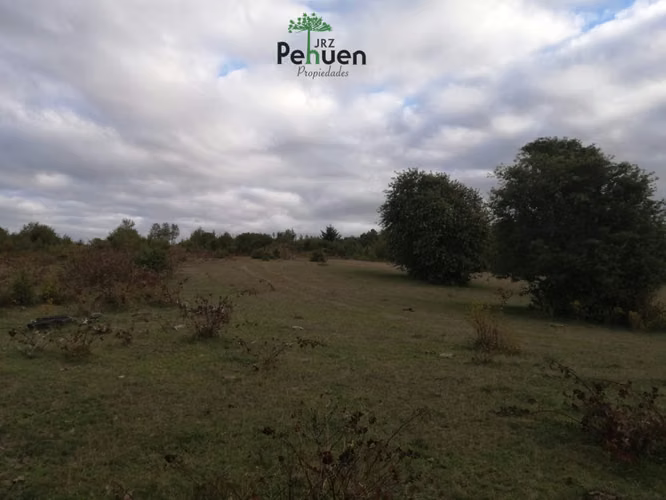 Terreno 4 Héctareas sector Pumaihue La Unión
