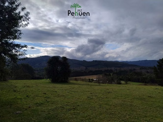 Terreno 4 Héctareas sector Pumaihue La Unión