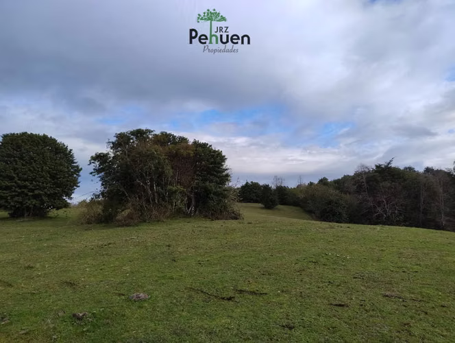 Terreno 4 Héctareas sector Pumaihue La Unión
