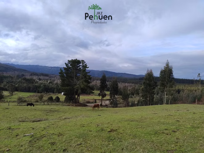 Terreno 4 Héctareas sector Pumaihue La Unión