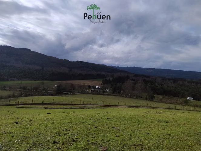Terreno 4 Héctareas sector Pumaihue La Unión