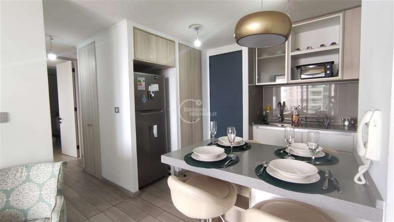 Amoblado. 2 dorm. 2 Baños. 1 Estac. GARANTIA EN 3 CUOTAS - Imagen 2